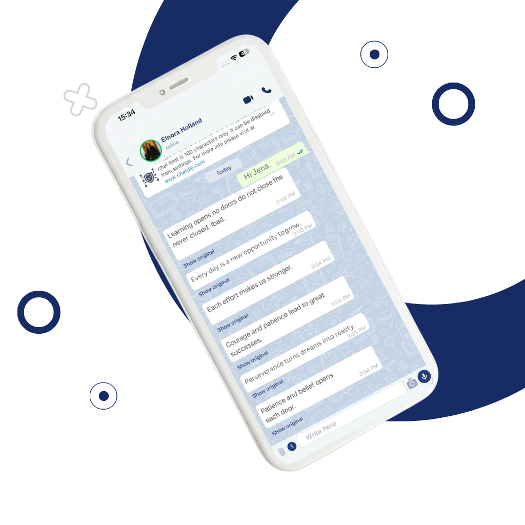 ChatDip Privacy Features